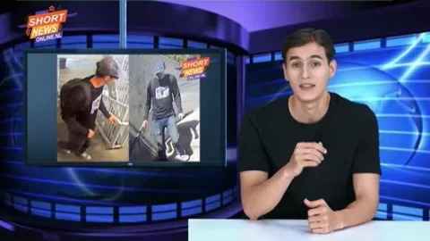 Short Dutch news journal